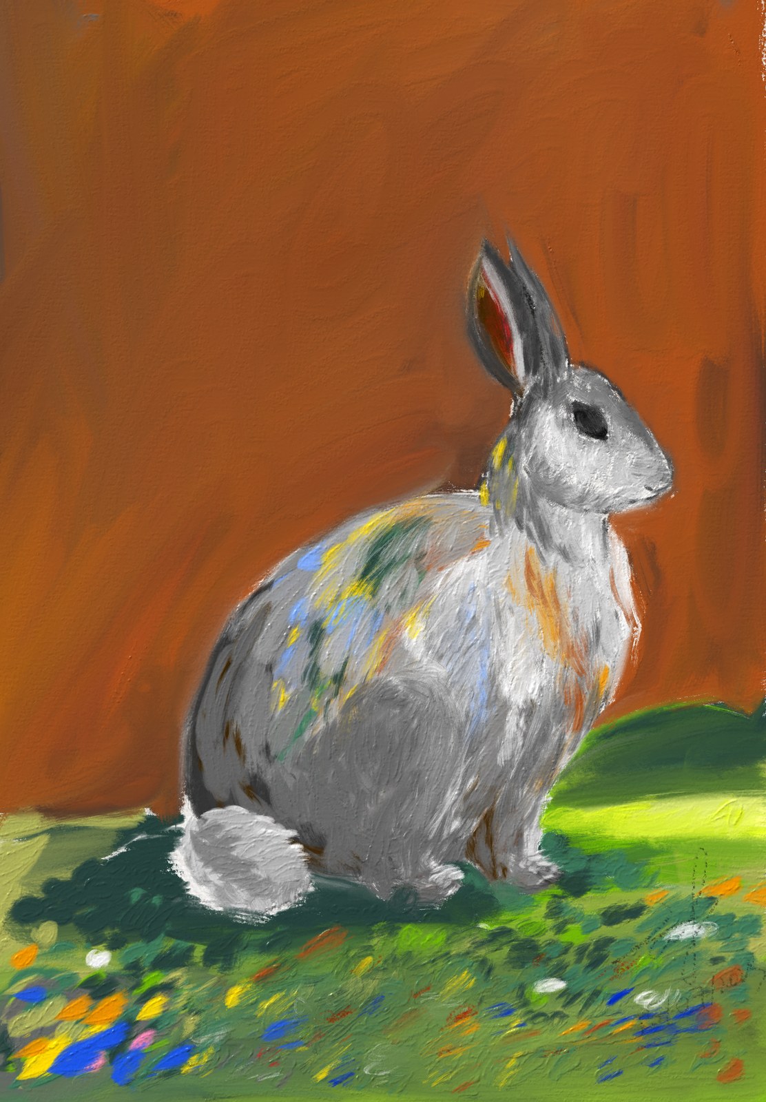 Rabbit